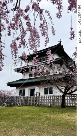Close View of Hirosaki Castle and Cherry Blossoms 142204494