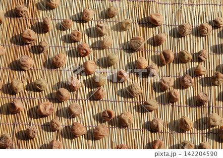 家庭菜園でとれた梅で梅干し作り 家庭菜園でとれた梅で梅干し作り 142204590