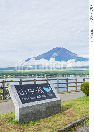 【山梨県】山中湖と富士山・長池親水公園・夏の富士山(8月) 【山梨県】山中湖と富士山・長池親水公園・夏の富士山(8月) 142204797