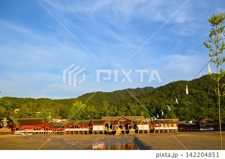 夕暮れの厳島神社 広島 夕暮れの厳島神社 広島 142204851