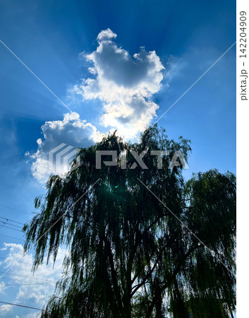 夏の青い空と白い雲 夏の青い空と白い雲 142204909