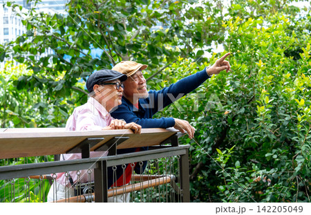 Two senior LGBTQ men lean on wooden railing, one points upward through lush green canopy Two senior LGBTQ men lean on wooden railing, one points upward through lush green canopy 142205049
