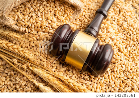 Judge gavel hammer with wheat ear grain from agriculture farm. 142205361