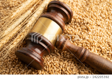 Judge gavel hammer with wheat ear grain from agriculture farm. Judge gavel hammer with wheat ear grain from agriculture farm. 142205392