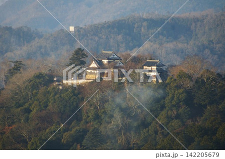 備中松山城展望台から見た風景 備中松山城と雲海(朝焼け) 備中松山城展望台から見た風景 備中松山城と雲海(朝焼け) 142205679