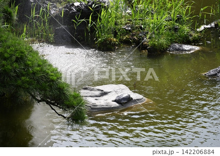 日比谷公園の池と岩の風景 / Pond and rocks at Hibiya Park 日比谷公園の池と岩の風景 / Pond and rocks at Hibiya Park 142206884