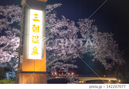 満開の夜桜 三朝温泉 満開の夜桜 三朝温泉 142207077