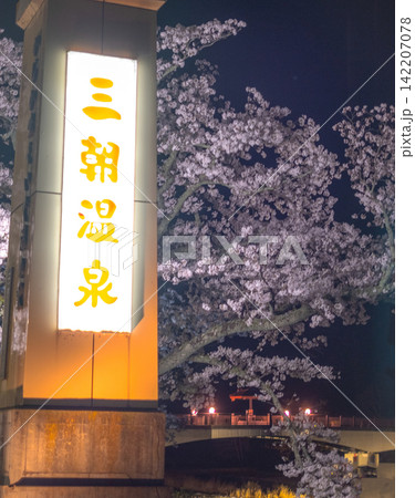 満開の夜桜 三朝温泉 満開の夜桜 三朝温泉 142207078