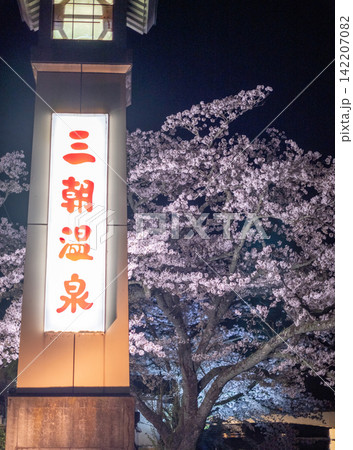 満開の夜桜 三朝温泉 満開の夜桜 三朝温泉 142207082