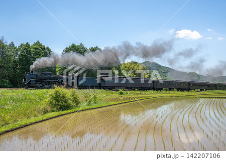 水田とSLやまぐち号 水田とSLやまぐち号 142207106