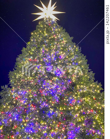 Illuminated Christmas Tree At Night Illuminated Christmas Tree At Night 142207461