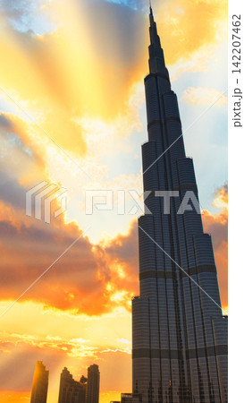 ドバイの超高層近代ビル・ブルジュハリファの夕景 142207462