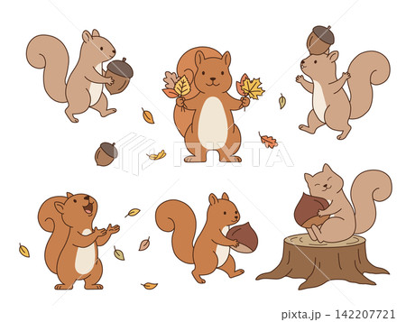 秋を楽しむリスのイラストセット　木の実と落ち葉のかわいい6ポーズ 142207721