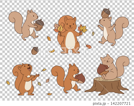 秋を楽しむリスのイラストセット　木の実と落ち葉のかわいい6ポーズ 142207721