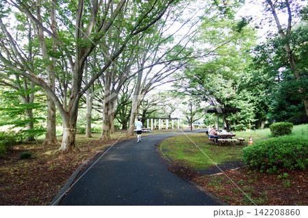 都立武蔵野公園の「はけの道」沿いの遊歩道(東京都小金井市) 都立武蔵野公園の「はけの道」沿いの遊歩道(東京都小金井市) 142208860