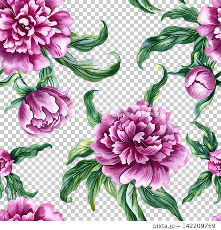 Seamless pattern with pink peonies. A hand drawn watercolor illustration. Ideal for textiles, tablecloths and curtains, wallpaper, covers, wrapping paper, prints, and much more. Seamless pattern with pink peonies. A hand drawn watercolor illustration. Ideal for textiles, tablecloths and curtains, wallpaper, covers, wrapping paper, prints, and much more. 142209769