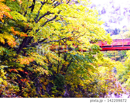 晩秋の絶景 定山渓温泉の二見吊り橋 晩秋の絶景 定山渓温泉の二見吊り橋 142209872