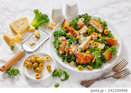 Sliced breaded pork cutlet salad on a plate Sliced breaded pork cutlet salad on a plate 142209996