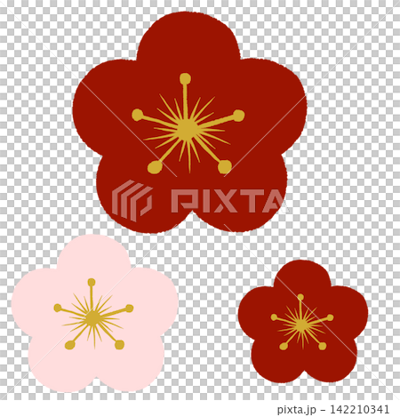 簡單的梅花圖 簡單的梅花圖 142210341
