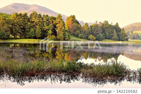 Scenic Mountain Lake with Forest Reflection in Warm Morning Light 142210582