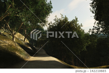 Forest Path Through Sunlit Green Woodland Landscape Forest Path Through Sunlit Green Woodland Landscape 142210665
