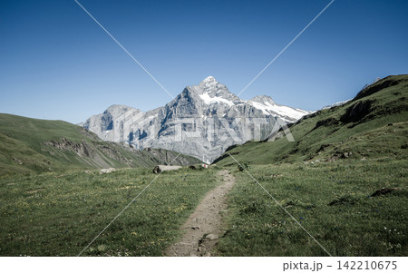 Alpine Mountain Trail Through Green Meadow Under Clear Blue Sky 142210675