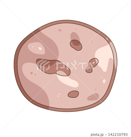 Illustration of deli meat Illustration of deli meat 142210793