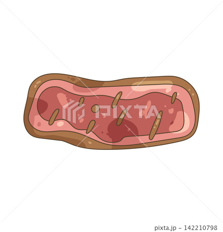 Illustration of medium steak Illustration of medium steak 142210798
