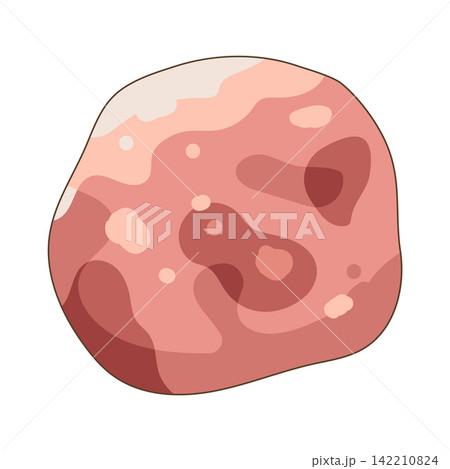 Illustration of meatball Illustration of meatball 142210824