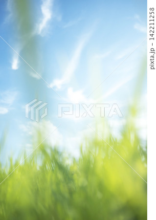 夏草と爽やかな夏空　蒜山高原 142211258