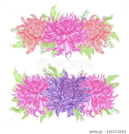 Hand drawn watercolor chrysanthemums with green leaves compositions. Illustration of flower bouquets isolated on white background. Can be used for postcard, label, scrapbook and other printed products Hand drawn watercolor chrysanthemums with green leaves compositions. Illustration of flower bouquets isolated on white background. Can be used for postcard, label, scrapbook and other printed products 142211610