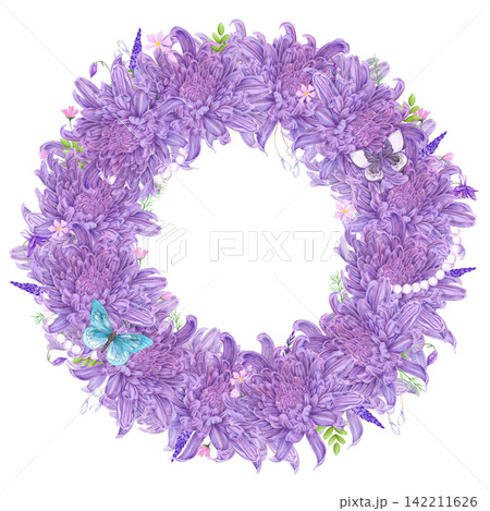 Hand drawn watercolor purple chrysanthemums with butterflies wreath frame border composition. Illustration of flowers isolated on white background. Can be used for postcard, label, invitation and Hand drawn watercolor purple chrysanthemums with butterflies wreath frame border composition. Illustration of flowers isolated on white background. Can be used for postcard, label, invitation and 142211626