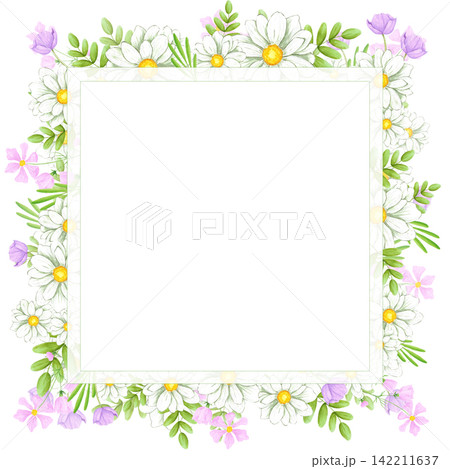 Hand drawn watercolor chamomile and wild flowers with green leaves frame border composition. Illustration isolated on white background. Can be used for postcard, label, invitation and botanical Hand drawn watercolor chamomile and wild flowers with green leaves frame border composition. Illustration isolated on white background. Can be used for postcard, label, invitation and botanical 142211637