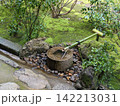 新緑に包まれた手水鉢 142213031