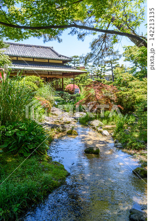 A vibrant traditional Japanese garden scene featuring a gently flowing stream meandering through lush greenery A vibrant traditional Japanese garden scene featuring a gently flowing stream meandering through lush greenery 142213135