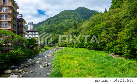 緑豊かな箒川に架かる塩原温泉の名所・紅の吊橋（栃木県那須塩原市） 142213619