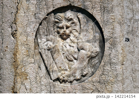Symbol of Saint Mark the Evangelist, Piazza delle Erbe Market`s square in Verona, Italy Symbol of Saint Mark the Evangelist, Piazza delle Erbe Market`s square in Verona, Italy 142214154