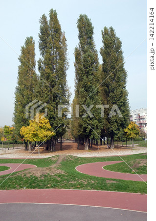 Park in Malesnica residential area, Zagreb, Croatia Park in Malesnica residential area, Zagreb, Croatia 142214164