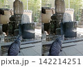 両国回向院の鼠小僧鼠小僧次郎吉の墓と振り返る猫 142214251