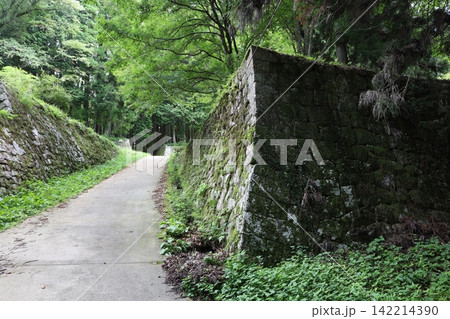 岩村城跡 岩村城跡 142214390