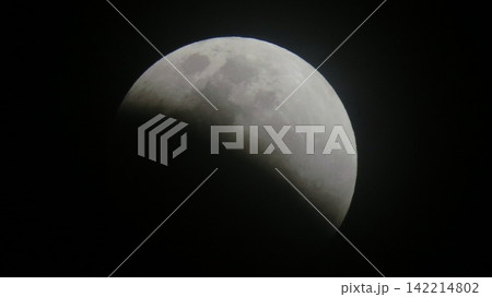 静かな夜の月 142214802