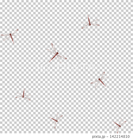 Seamless pattern with hand painted watercolor illustration of scattered rust terracotta dragonflies with translucent veined wings floating on white background. Repeating continuous design with insect Seamless pattern with hand painted watercolor illustration of scattered rust terracotta dragonflies with translucent veined wings floating on white background. Repeating continuous design with insect 142214810