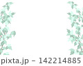 ミントグリーンの葉のついた木のフレーム 142214885