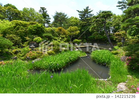 法華寺の名勝庭園 法華寺の名勝庭園 142215236