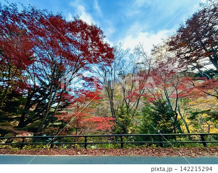 青空の下で鮮やかに色づく山の紅葉風景 青空の下で鮮やかに色づく山の紅葉風景 142215294