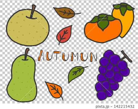 Colorful Fruit Illustration Set - Autumn Colorful Fruit Illustration Set - Autumn 142215432