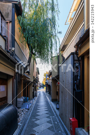 京都の先斗町の花街 (京都府京都市中京区) 京都の先斗町の花街 (京都府京都市中京区) 142215943