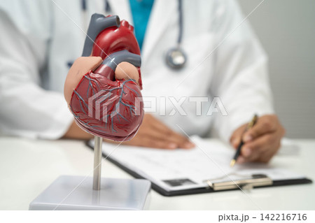 Cardiovascular disease CVD, doctor with heart human model. Cardiovascular disease CVD, doctor with heart human model. 142216716