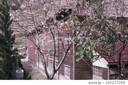 桜のある風景 桜のある風景 142217109