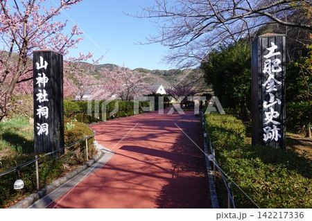 土肥金山 土肥金山 142217336